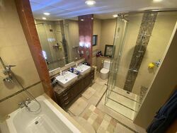 The Arcadia (D11), Condominium #424497031